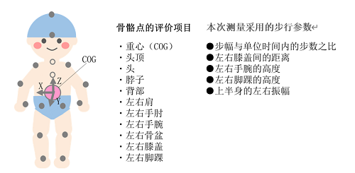 花王开发出通过手机拍摄视频即可详细解析行走动作的技术