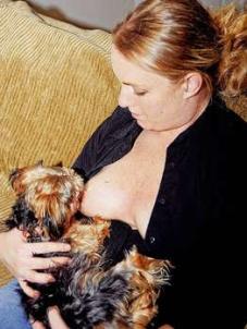 美国27岁妇女用自己奶水喂养宠物狗(图)